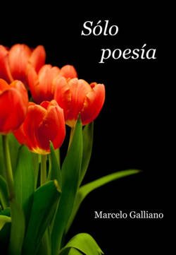 sólo poesía