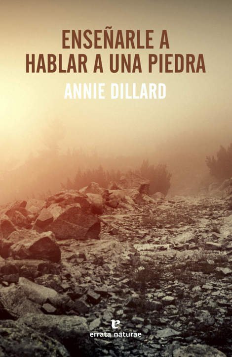 enseñarle a hablar a una piedra