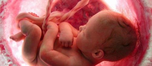 Parir. Por Jordi Rosiñol Lorenzo