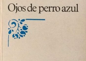 ojos de perro azul