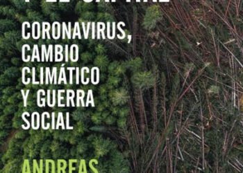 El murciélago y el capital