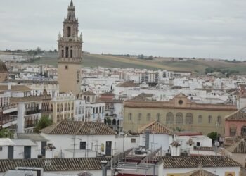 Vista de Écija desde el campanario de una de sus torres