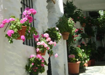 Un día en la Alpujarra