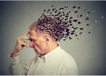 La siembra de la (des)memoria